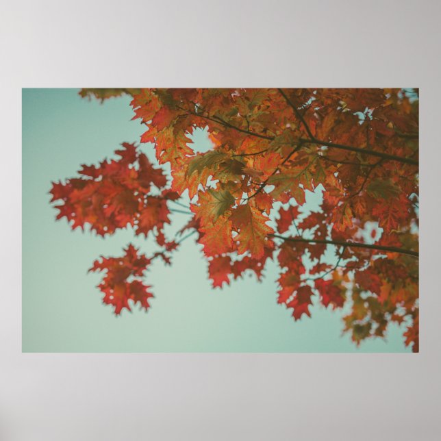 POSTER ÁRVORE VERMELHA (Frente)