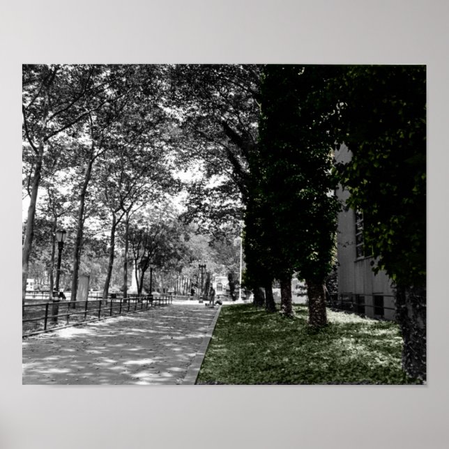 Pôster Árvores (Frente)