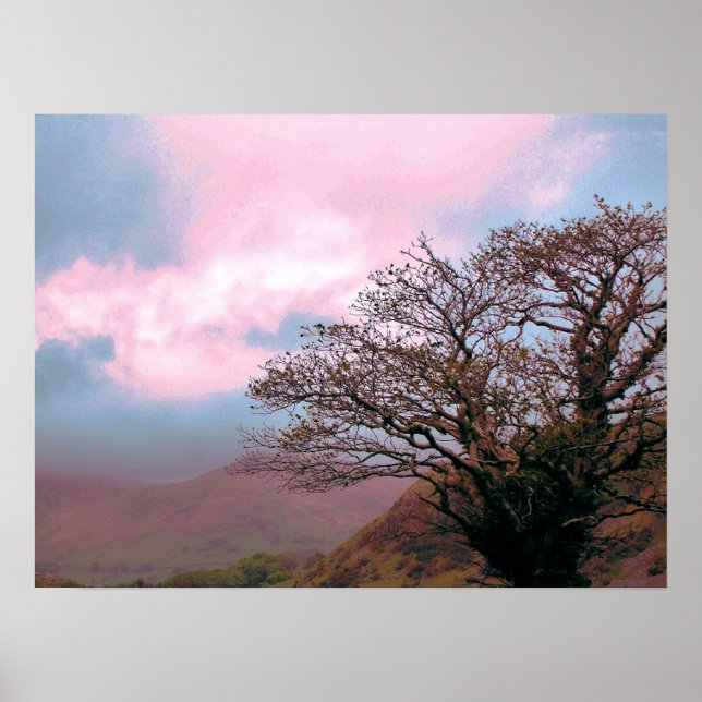 PÔSTER ÁRVORES (Frente)