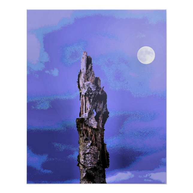 PÔSTER ÁRVORES (Frente)