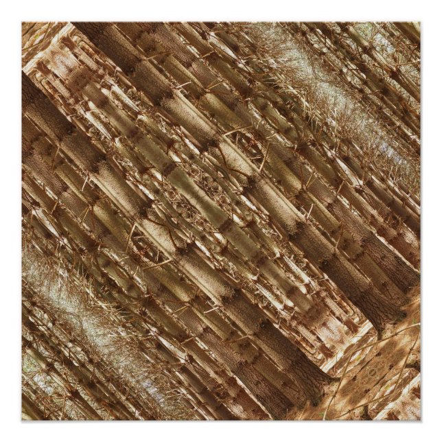 Pôster Árvores altas (Frente)