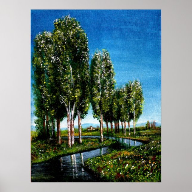 POSTER ÁRVORES BIRCH NA TOSCANA (Frente)
