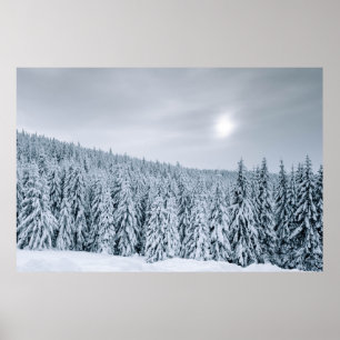 POSTER ÁRVORES COBERTAS DE NEVE DURANTE O DIA