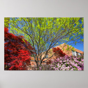 Poster Árvores Coloridas e Esfregões em Primavera