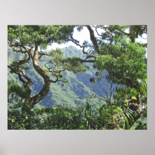 Poster Árvores das montanhas e do Koa de Ko'olau