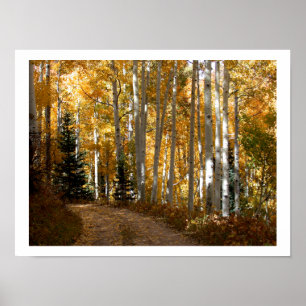 Poster Árvores de Aspen