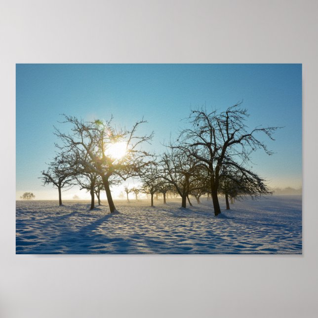 Poster Árvores de inverno ao nascer do sol (Frente)