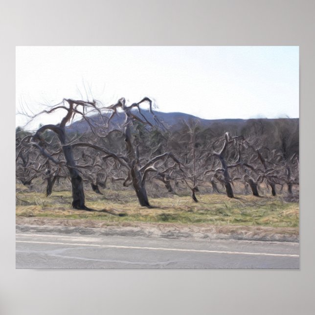 Pôster Árvores De Maçã Em Pintura Fotográfica De Óleo De  (Frente)
