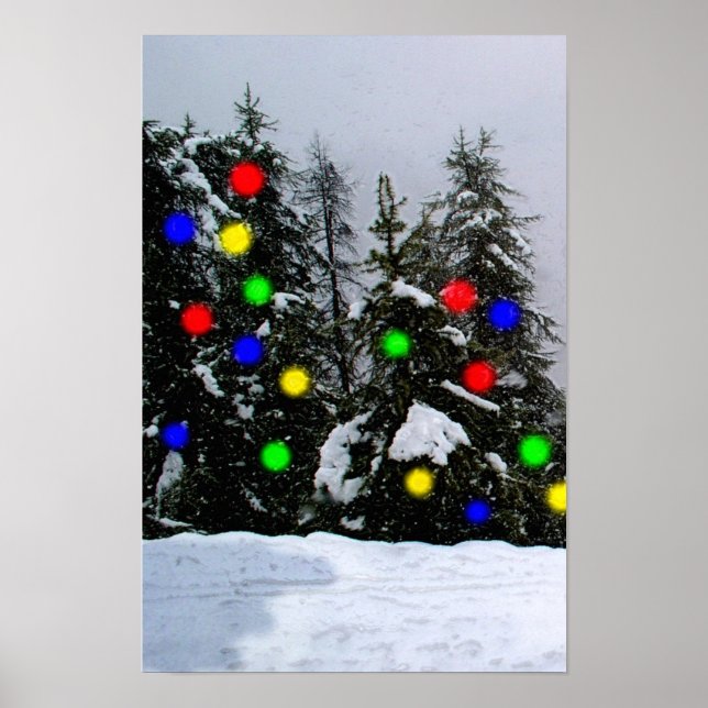 Pôster Árvores de Natal (Frente)