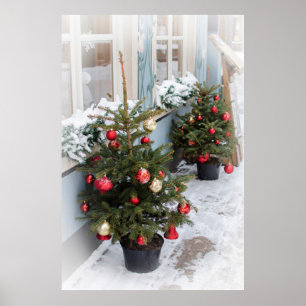 Poster Árvores de Natal decoradas na rua.