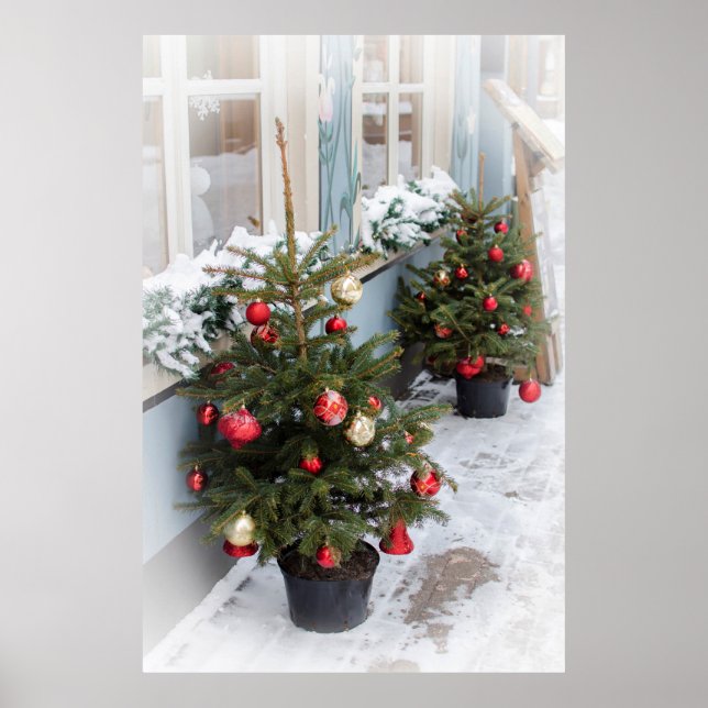 Poster Árvores de Natal decoradas na rua. (Frente)