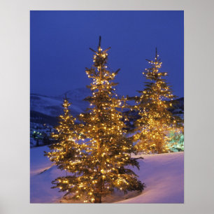 Pôster Árvores de Natal, Park City, montanhas de Wastch,