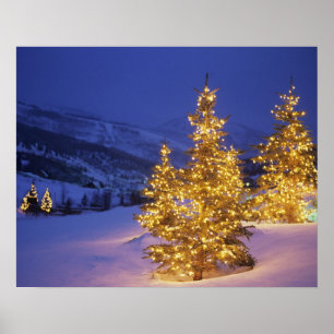 Pôster Árvores de Natal, Park City, montanhas de Wastch,