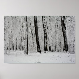 Poster Árvores de Neve do inverno - -
