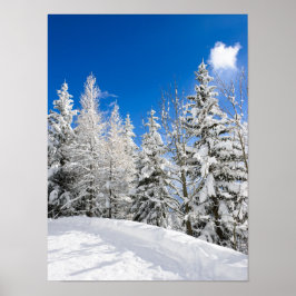 Pôster Árvores de neve sob céu azul claro