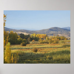 Pôster Árvores de Outono, Khancoban, Montanhas Nevadas, N
