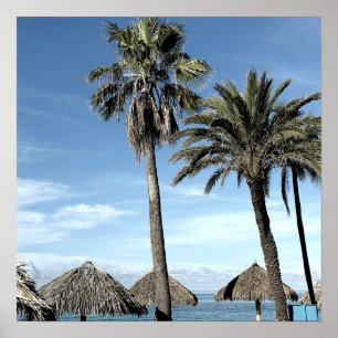 Poster Árvores de Palma e Palapa de Praia do Oceano Aruba