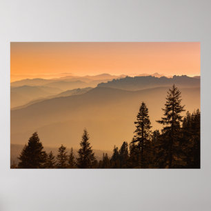 POSTER ÁRVORES DE PINOS VERDES NA MONTANHA DURANTE O DIA