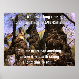 Poster - Árvores de Sabedoria com Citação Final