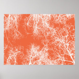 Poster Árvores de silhuetas brancas e laranja