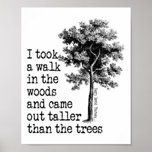 Poster Árvores de Thoreau Citação Natureza - Caminhada no