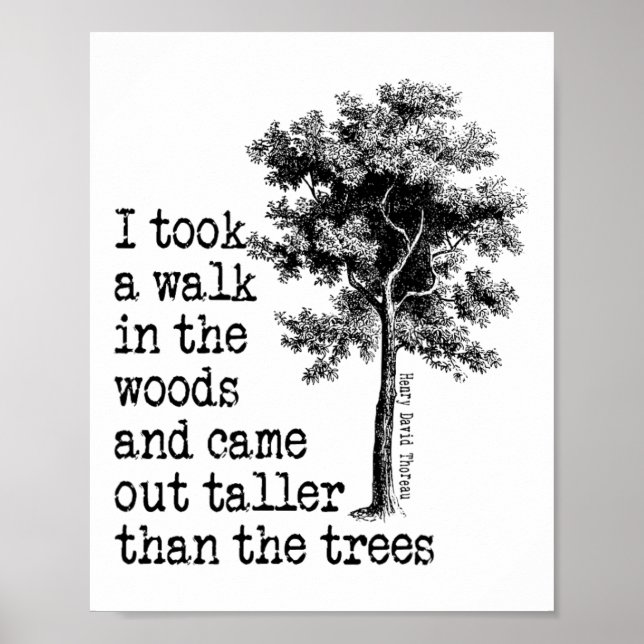 Poster Árvores de Thoreau Citação Natureza - Caminhada no (Frente)