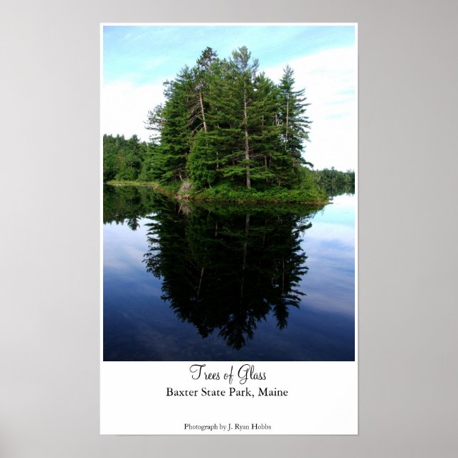 Pôster Árvores de Vidro (Frente)