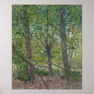 Poster Árvores de Vincent Van Gogh