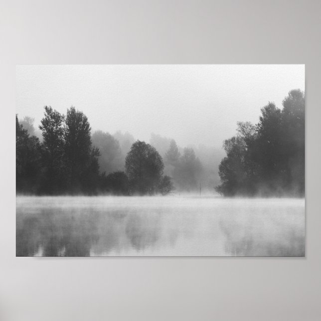 Poster Árvores desaparecendo no nevoeiro matinal acima do (Frente)