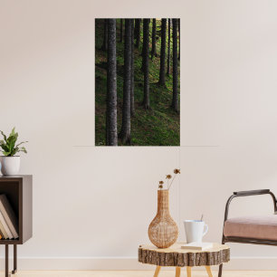 Poster Árvores e musgo verde