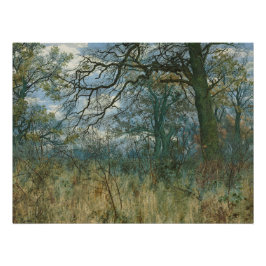 Pôster Árvores e Sub-bosque – Jardim William Fraser