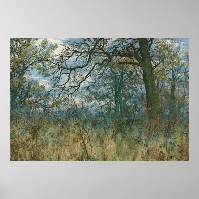 Poster Árvores e Sub-crescimento - William Fraser Garden (Frente)