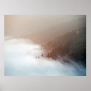 Poster Árvores em montanha cobertas com neblina
