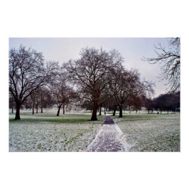 Pôster Árvores em Primrose Hill Camden Londres