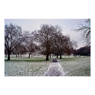 Pôster Árvores em Primrose Hill Camden Londres