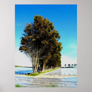 Poster Árvores em uma paisagem de Jersey