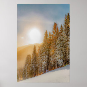 Poster Árvores florestais de inverno #17