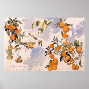 Poster Árvores frutas - Edward Lear