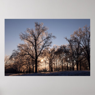 Poster Árvores geladas retroiluminadas