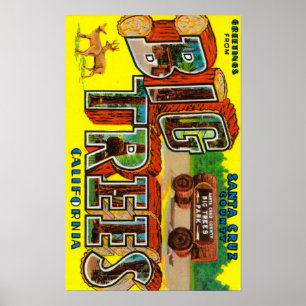 Poster Árvores grandes, Califórnia - grandes cenas da