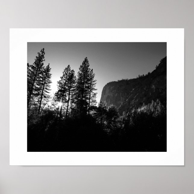 Poster Árvores iluminadas por sol Yosemite Black and Whit (Frente)