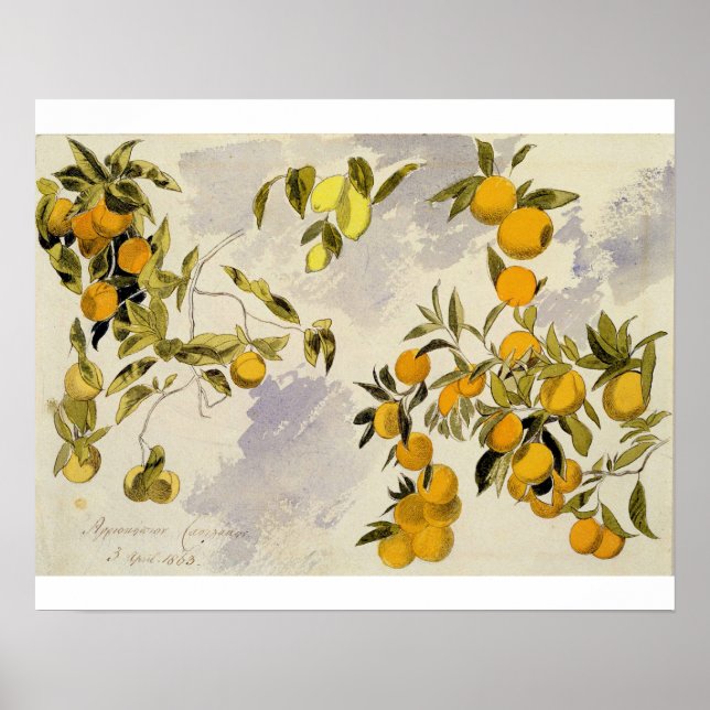 Poster Árvores laranja, 1863 (c/c, caneta e tinta sobre g (Frente)