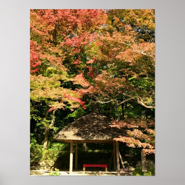 Poster Árvores Mapeadas Coloridas e Restauração da Casa (Frente)