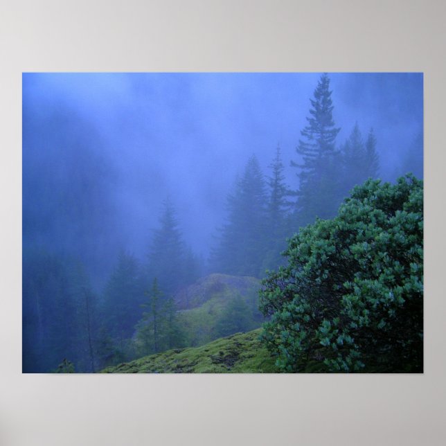 Poster Árvores Misteriosas (Frente)