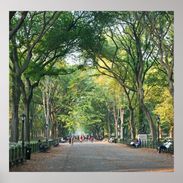 Pôster Árvores na Alameda (Frente)