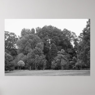 Poster Árvores no parque do Bute, Cardiff - BW