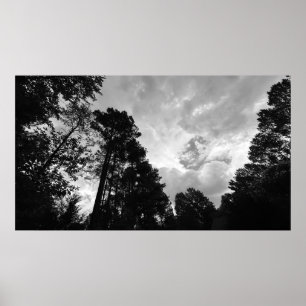 Poster Árvores & Nuvens, Cartaz