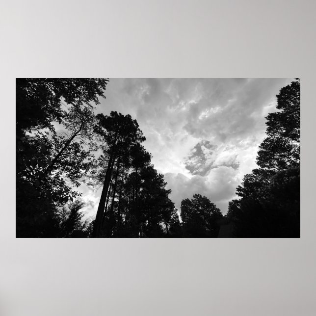Poster Árvores & Nuvens, Cartaz (Frente)