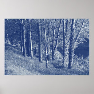Poster Árvores por um rio - efeito de Cyanotype