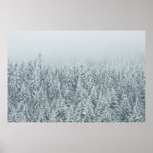 POSTER ÁRVORES QUE COBREM NEVE (Frente)